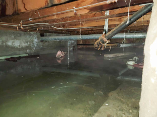 Best Local water damage restoration  in South Berwick, ME