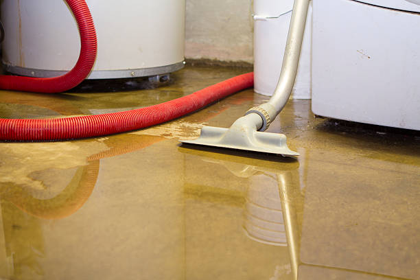 Best Water damage repair service  in South Berwick, ME